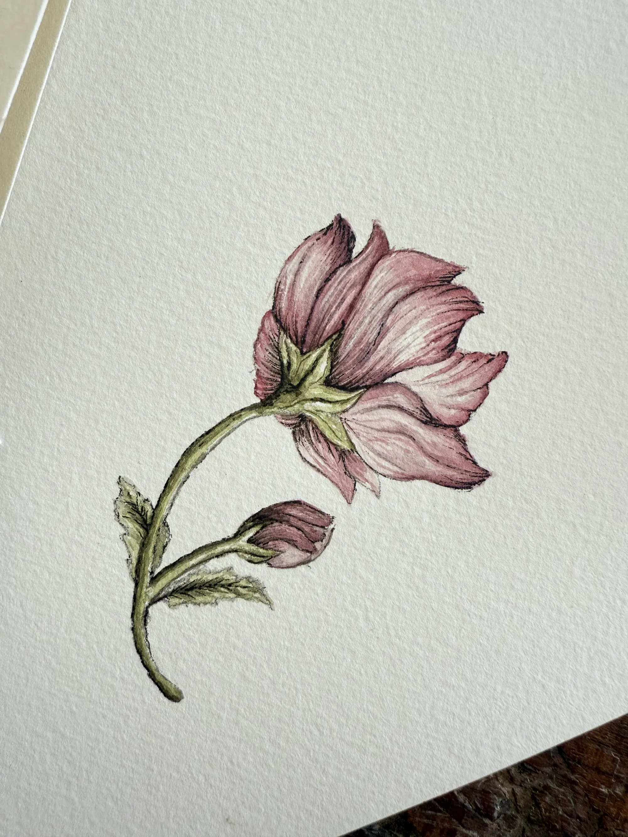 Retraite Reliure & Aquarelle, photo 6