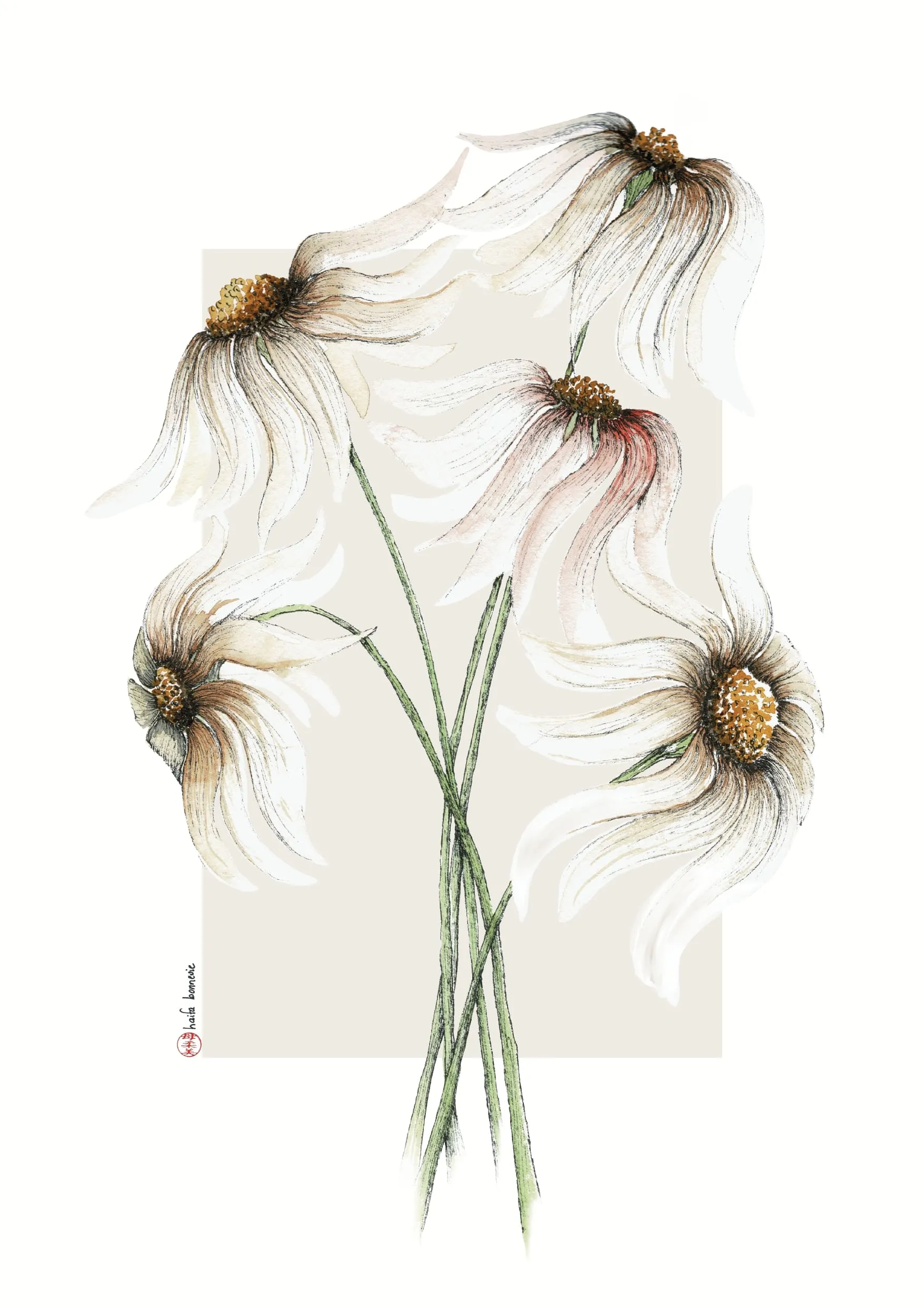 Aquarelle « Les 5 méduses » de Haifa Bonnevie