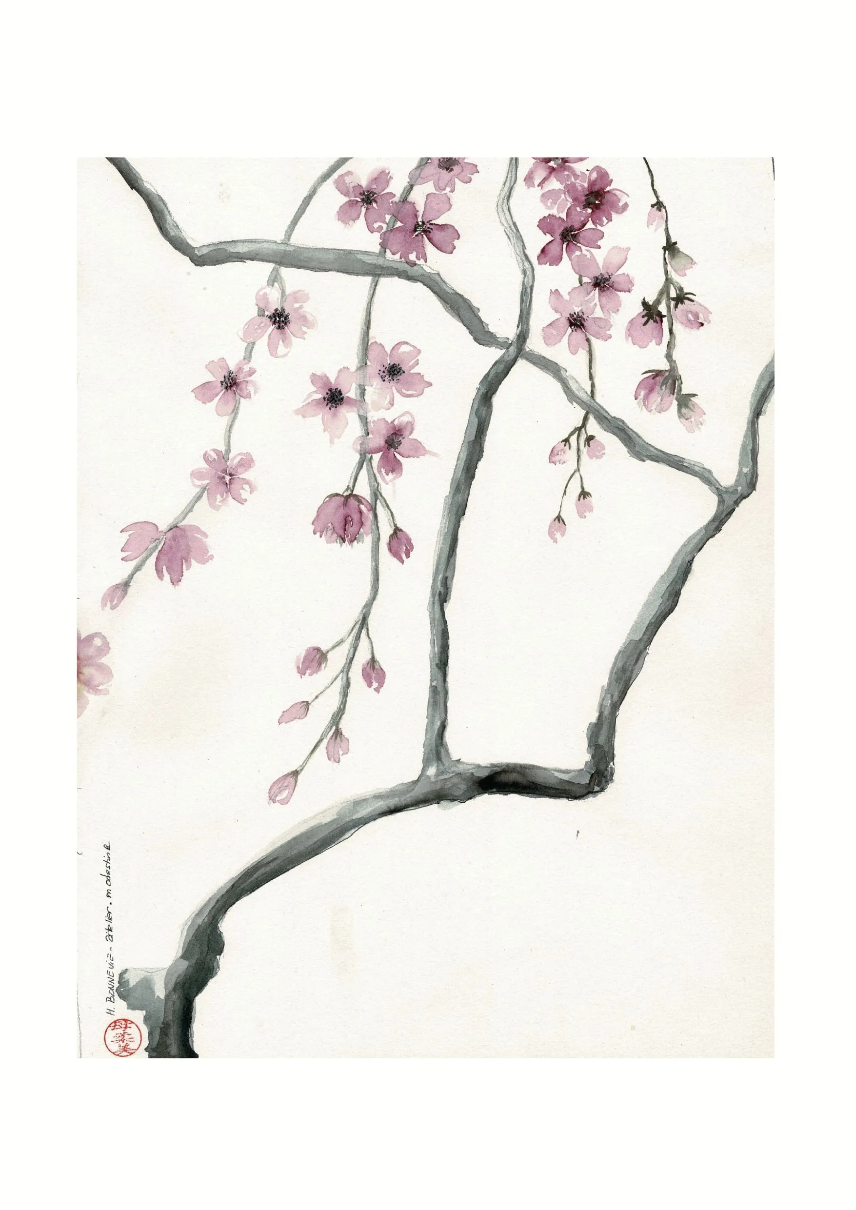 Branches de cerises II