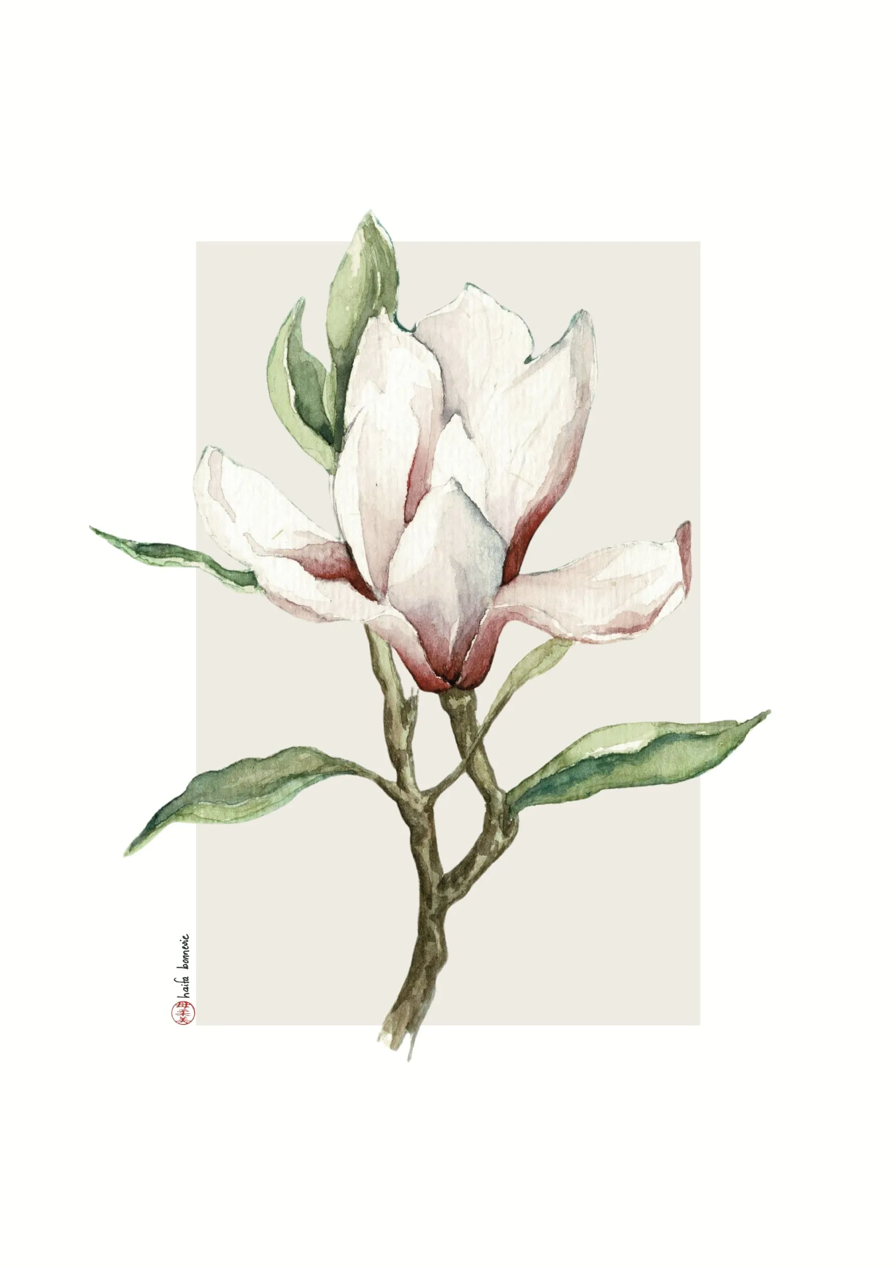 Aquarelle « Magnolia III » de Haifa Bonnevie