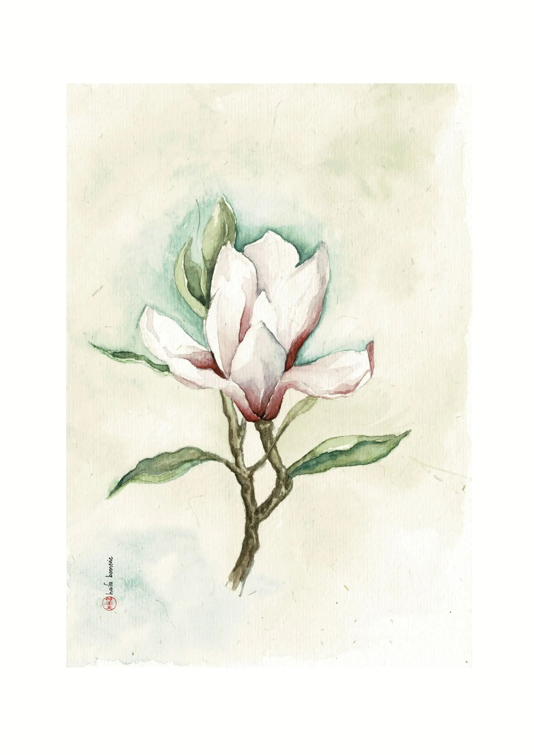 Aquarelle « Magnolia » de Haifa Bonnevie
